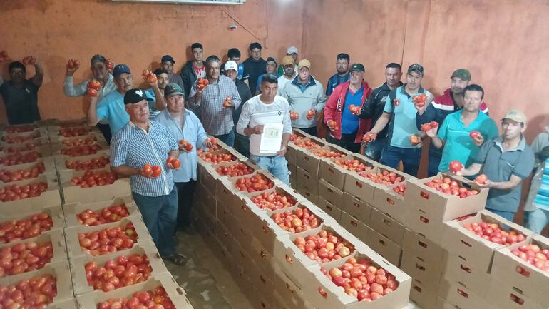 Los productores de Coronel Oviedo tienen 15 mil kilos de tomates sin poder vender.