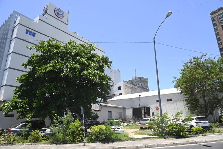 En este predio, al lado de la torre de la DNIT, la ANNP construirá un oneroso edificio para sus oficinas administrativas.