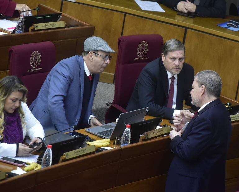 Los senadores cartistas y sus aliados sancionaron la versión de Diputados.