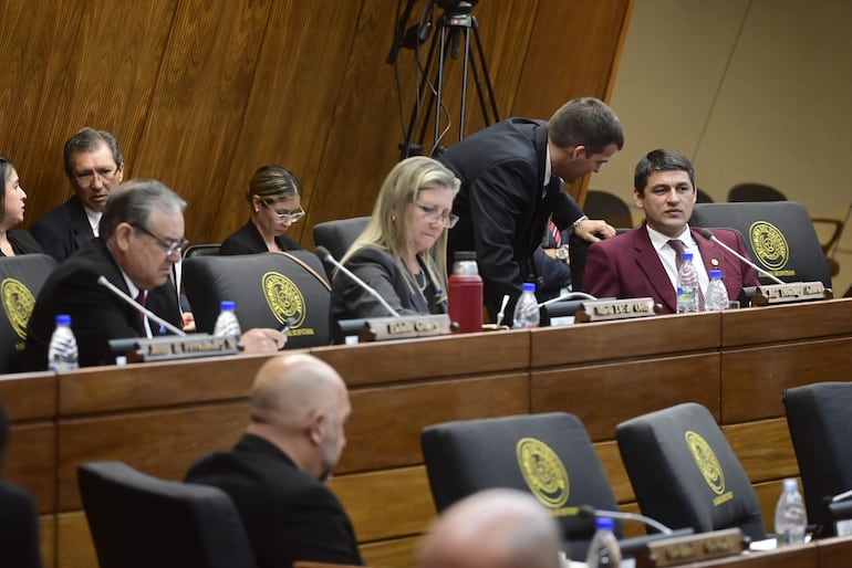 La presidenta de la Comisión de Desarrollo Social, Población y Vivienda, Ida Cattebeke (ANR, HC), en el centro, durante la sesión de Diputados de ayer.