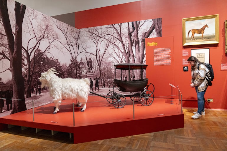 Una mujer visita la exposición 'Pets and the City' (las mascotas y la ciudad) este viernes, en la sede del museo en Nueva York (EE.UU.). 