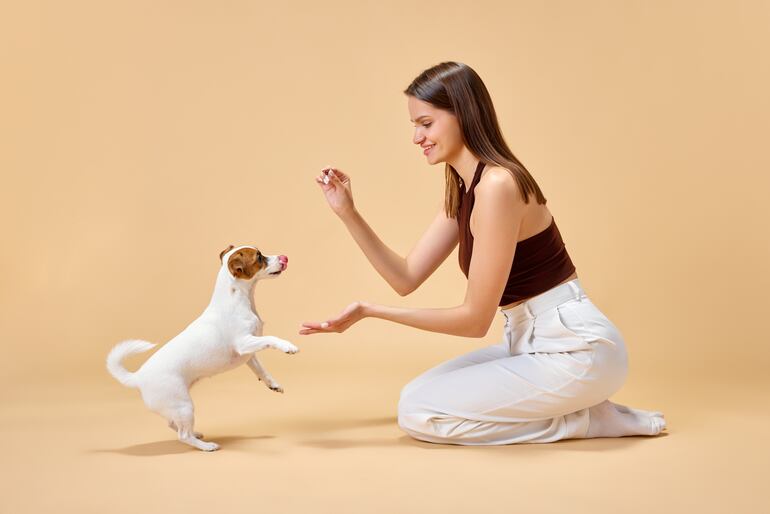 Mujer juega con perro de raza Jack Russel.