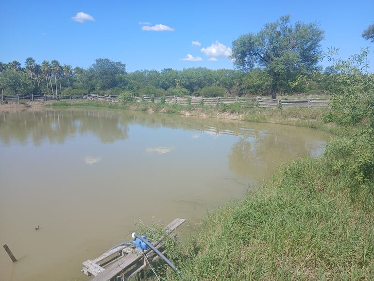 Así se encuentran los tajamares de las estancias donde se produjeron esas lluvias grandes, aunque tampoco están llenas de agua.