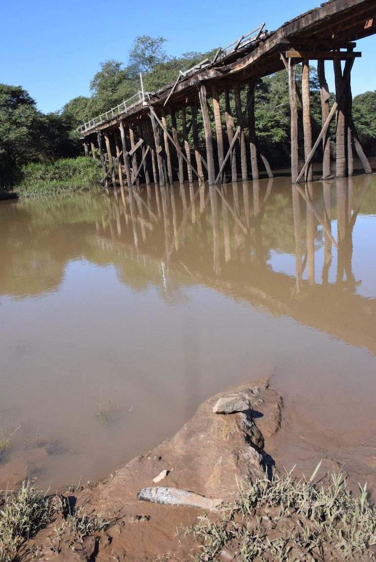 Pez muerto frente al puente viejo sobre el río Pirapó de la compañía Pindoyu de Yegros.