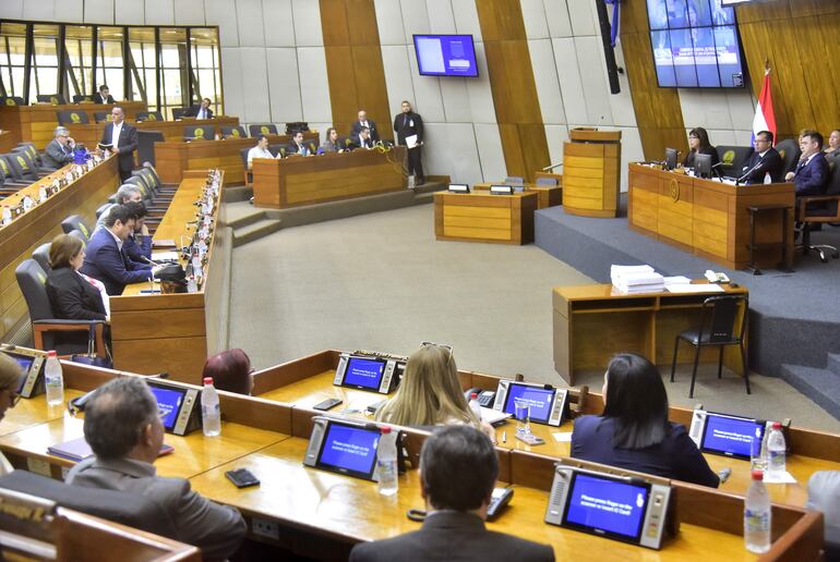 La rectora de la UNA, Zully Vera, durante su participación ayer en la audiencia de la Comisión Bicameral de Presupuesto del Congreso.