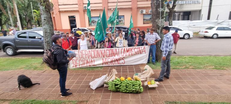 Miembros de la Federación Nacional Campesina regional Misiones se movilizaron frente a la Gobernación de Misiones.