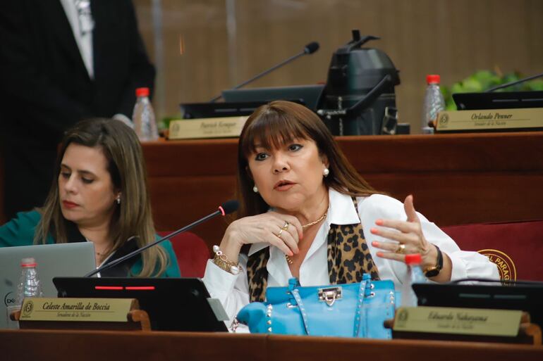 Celeste Amarilla. Foto Gent. Prensa Senado.