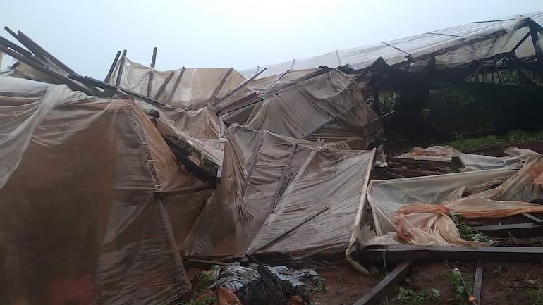 Tormentas en Itapúa causaron estragos a productores.