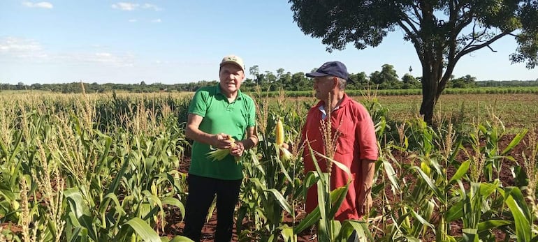 Los beneficiados tuvieron buena experiencia en el cultivo. 