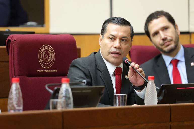 El presidente de la ANDE, Félix Sosa, hoy en el Congreso Nacional.