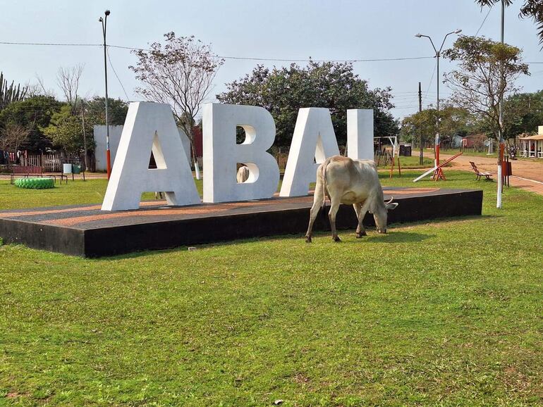 Animales sueltos dan la bienvenida a los visitantes de Abai.