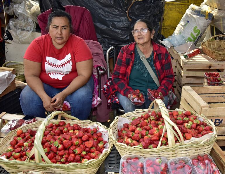 Epifanía Gaona y Juana Villamayor invitan a los amantes de las frutillas a acercarse al Mercado de Abasto de Asunción para adquirir sus deliciosos productos. 