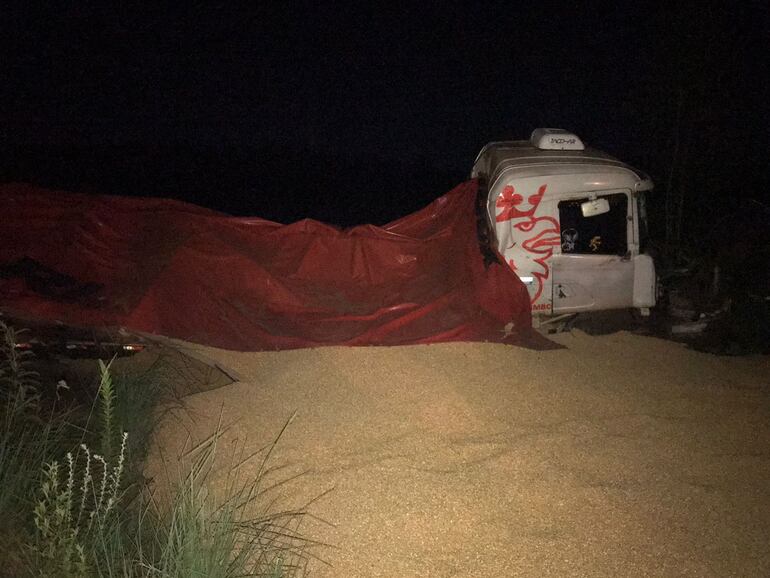 El camión semirremolque quedó enterrado en el grano de maíz que transportaba.