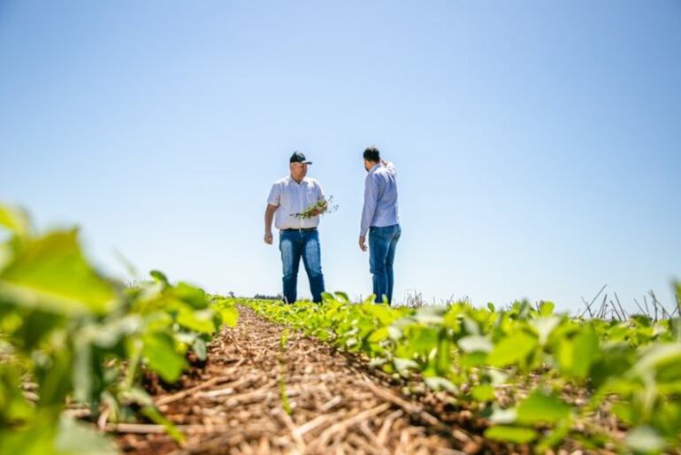 Un equipo técnico calificado y comprometido trabaja de manera cercana con el agricultor llevando asistencia técnica.