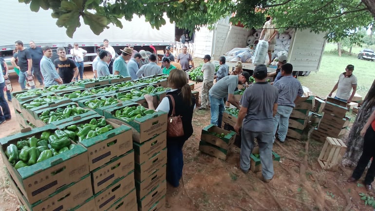 Locostes que serán exportarán a la Argentina.