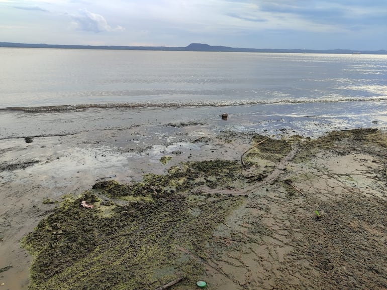 Después de unas horas el agua cambió de color pero en la orilla del lago quedaron rastros de lo verde y un fuerte mal olor.