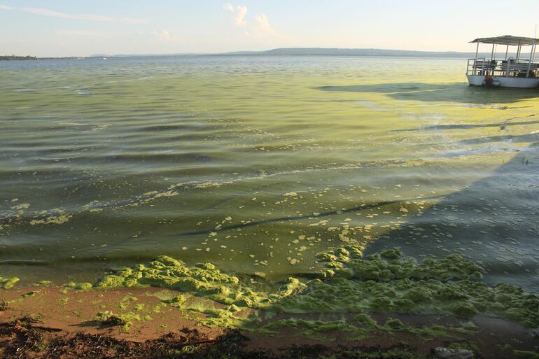 Así se veía ayer el lago Ypacaraí.