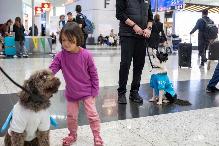 Los niños viajeros disfrutan de interactuar con los perros en el aeropuerto de Turquía. 