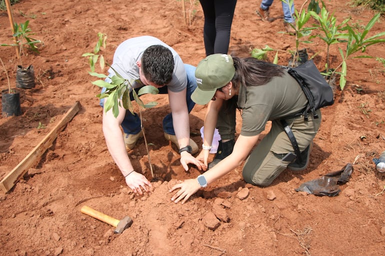 Jóvenes voluntarios plantaron 700 árboles de especies nativas en la Reserva Guarapí.