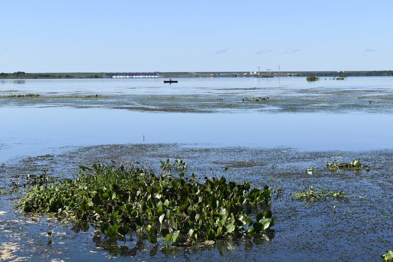 Río Paraná