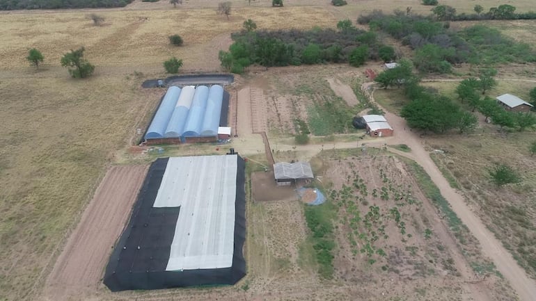 Con un capital inicial de G. 30 millones hace diez años en la aldea Schoenbrunn cercana a la ciudad de Loma Plata iniciaron Chaco Fresh, un gran huerto hidropónico donde las plantas crecen sin necesidad de tierra.