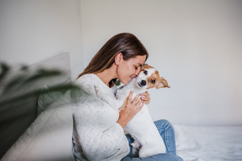 El contacto físico es esencial para que los perros se conecten con sus propietarios.