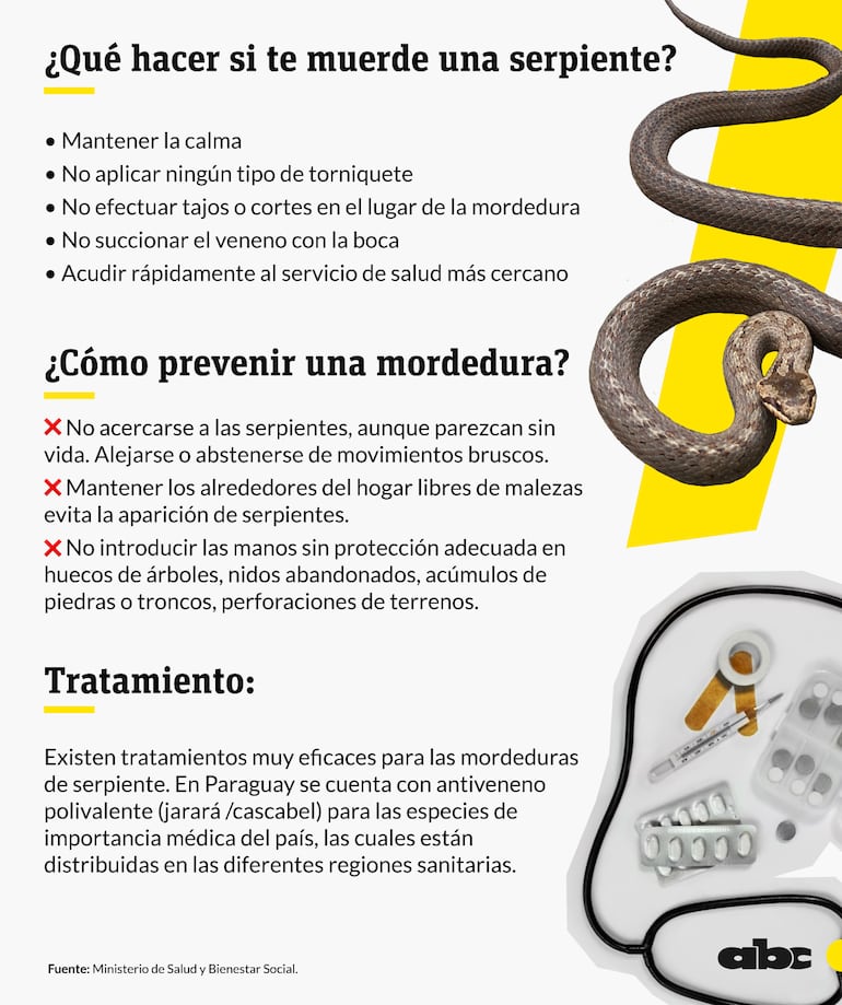 Informaciones del Ministerio de Salud sobre los accidentes ofídicos: qué hacer y qué evitar tras recibir la mordedura de una serpiente.