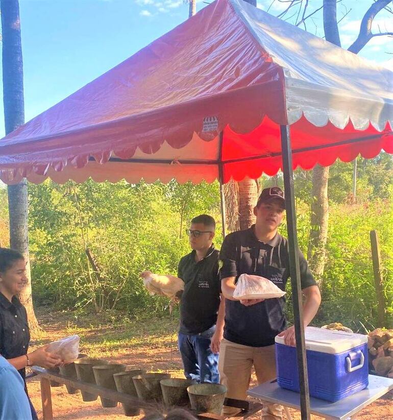 Los universitarios realizaron la demostración de un correcto faenamiento de los pollos y gallinas y la presentación para la venta.