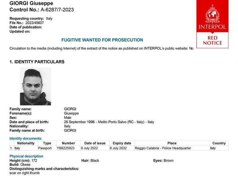Notificación roja de Interpol sobre Giuseppe Giorgi, de 26 años. En el documento dice que lo buscan en Italia.