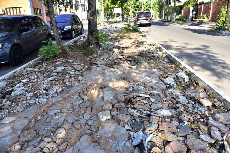 Paseo central de la avenida Carlos. A. López abandonado. Se dio una ampliación a la firma.