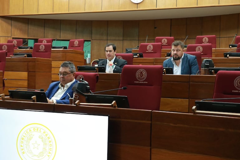 Solo en ciertos momentos de la sesión estuvieron (además de Dionisio Amarilla) los senadores Gustavo Leite (abajo) y el diputado Rodrigo Gamarra (arriba izq.) y el senador Colym Soroka (arriba, der.)