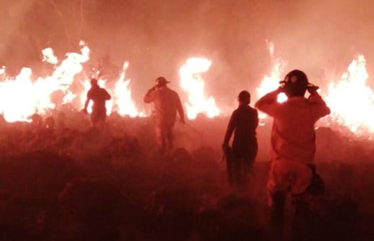 Bomberos voluntarios de Santa Rosa, San Ignacio y otros distritos  del departamento de Misiones acudieron anoche al predio de la facultad de Ciencias Agrarias para apagar el incendio.