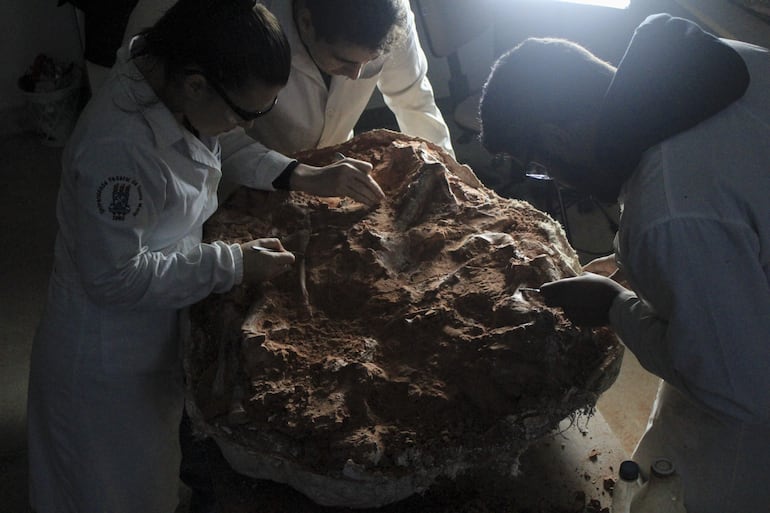 Fotografía facilitada por la Universidad de Santa María que muestra a investigadores brasileños con parte del fósil de un dinosaurio de más de 230 millones de años encontrado en Rio Grande do Sul. El dinosaurio es uno de los más antiguos descubiertos en el mundo y que quedó expuesto tras las graves inundaciones de mayo en la región. El fósil, que mide más de dos metros de largo y se encuentra casi completo, fue encontrado en São João de Polêsine por un grupo de seis investigadores del Centro de Apoyo a la Investigación Paleontológica de la Cuarta Colonia (Cappa) de la Universidad de Santa María. EFE/ Universidad De Santa María /SOLO USO EDITORIAL/ SOLO DISPONIBLE PARA ILUSTRAR LA NOTICIA QUE ACOMPAÑA (CRÉDITO OBLIGATORIO)