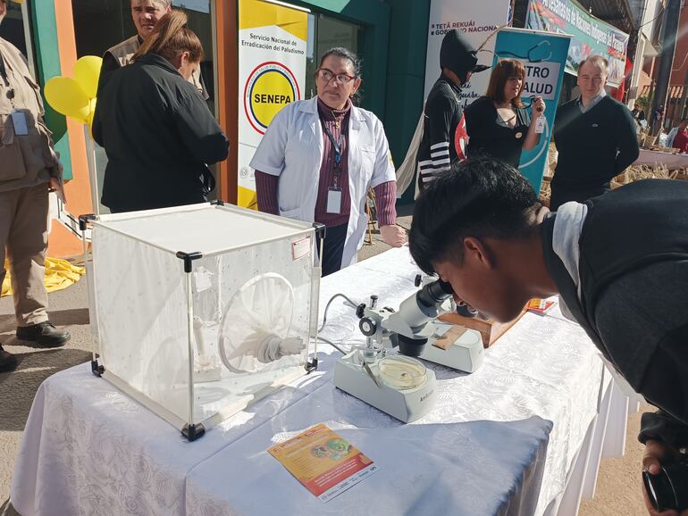 Concurrentes de la Expo MRA 2023 pueden apreciar las diferentes etapas de crecimiento del mosquito aedes aegypti en microscopio, en el stand del Ministerio de Salud.