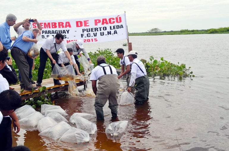 Los voluntarios japoneses están asentados en la localidad de Puerto Leda, en Alto Paraguay. Foto ilustrativa.