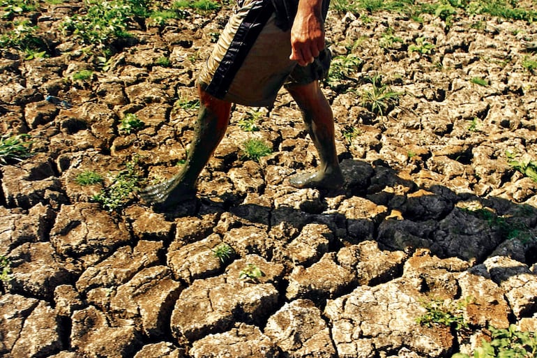 Una de las características del fenómeno de La Niña es la sequía por menores precipitaciones.