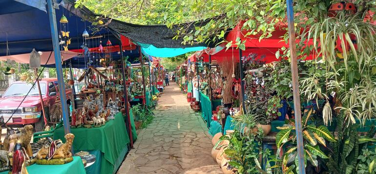 pasillo rodeado de plantas, cerámica