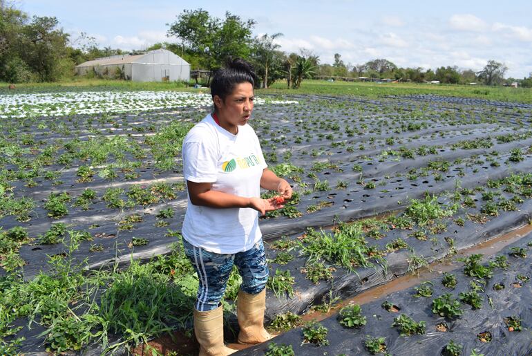 María Clara Cáceres, productora independiente, perdió todo su cultivo y ahora debe empezar de cero. 