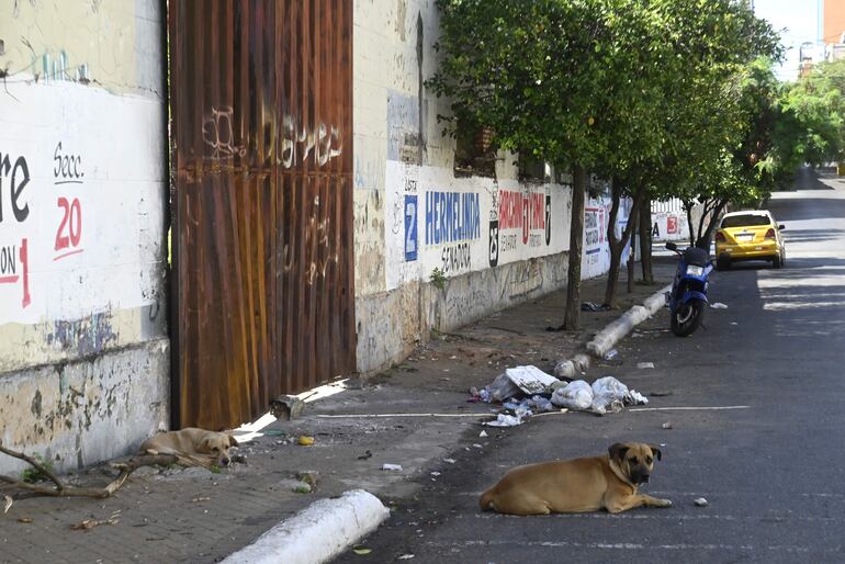 La zona de la excerveria se encuentra en deplorables condiciones. 