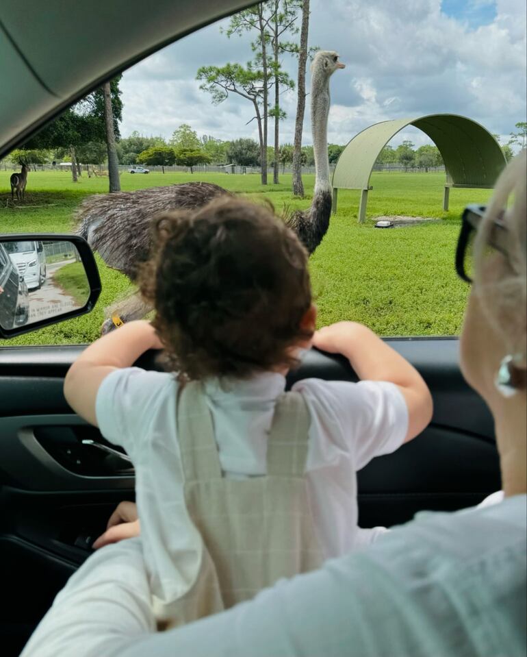 Marquito disfrutando del safari, observando los animalitos. (Instagram/Nadia Ferreira)