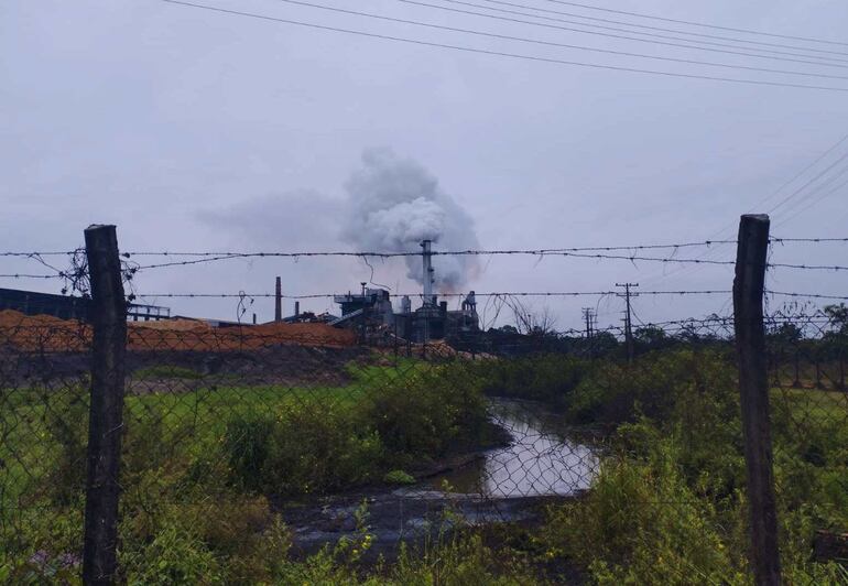 Una de las piletas de sedimentación de la Azucarera Paraguaya (Azpa), de donde podría haberse vertido los desechos al río.