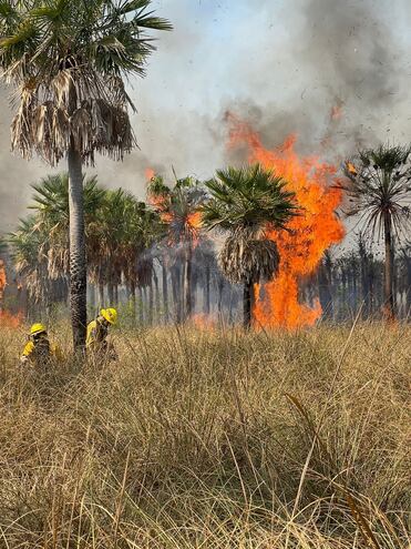 Gran incendio en San Ber ya afecta humedales del lago Ypacaraí