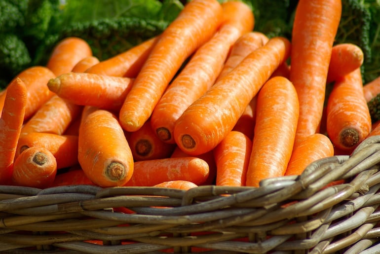 Imagen ilustrativa: zanahorias en una canasta.