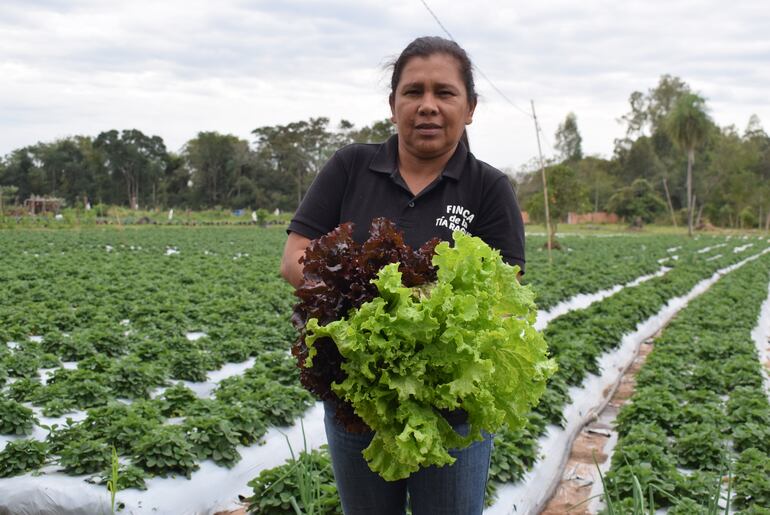 En la finca Tía Raquel también encontrarán hortalizas frescas y de calidad.