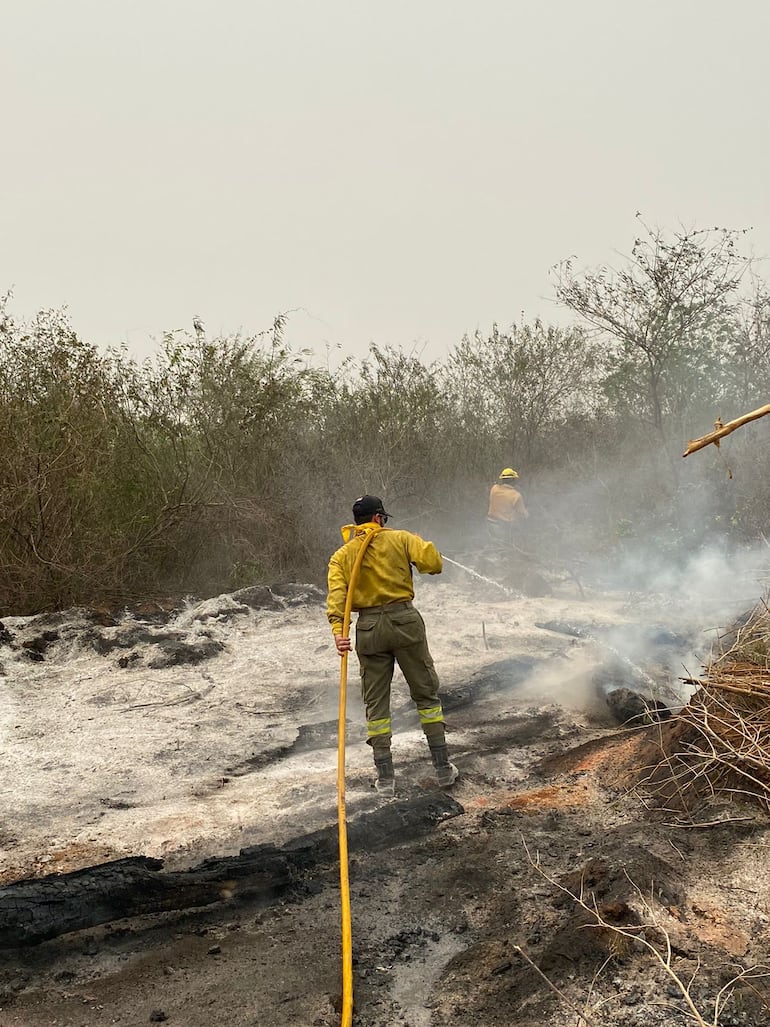 Ardua tarea por apagar los focos de incendio de parte de bomberos, militares y peones de estancias.