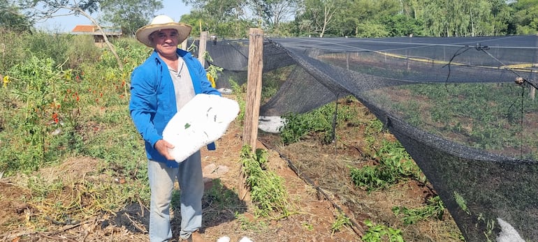 Misiones: temporal con granizada causó daños en cultivos de pequeños productores