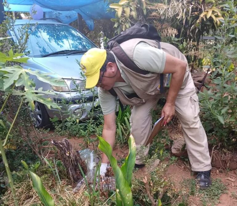 Cada dos semanas los funcionarios del Senepa realizan mingas ambientales en las ciudades de Cordillera.