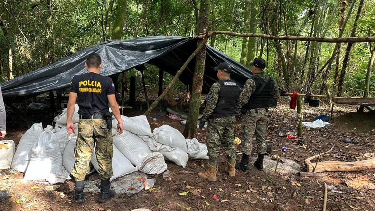 Agentes policiales observan un campamento de marihuana antes de quemarla