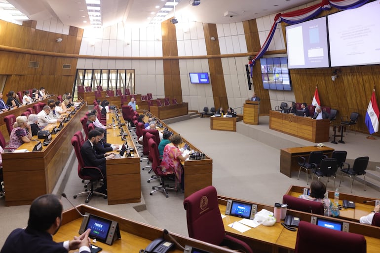 La audiencia pública se llevó adelante ayer en la sala de sesiones de la Cámara de Diputados.