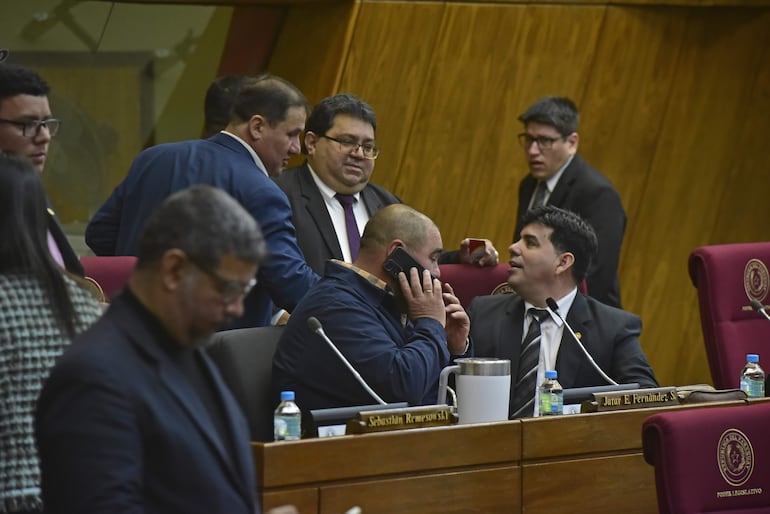 Sesión de la Cámara de Diputados.